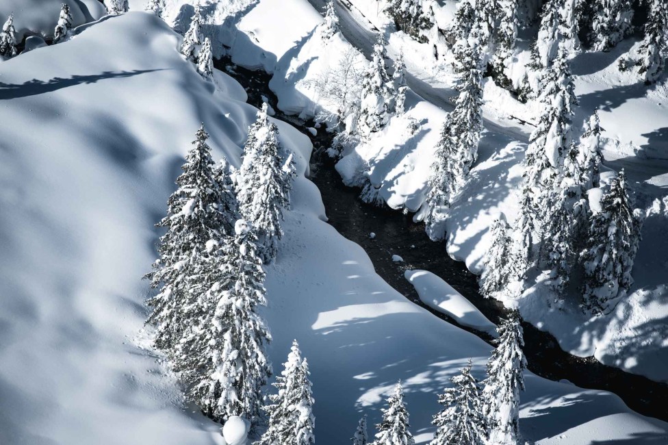 Hände mit Besteck greifen nach einem Süßspeise auf einem Tisch